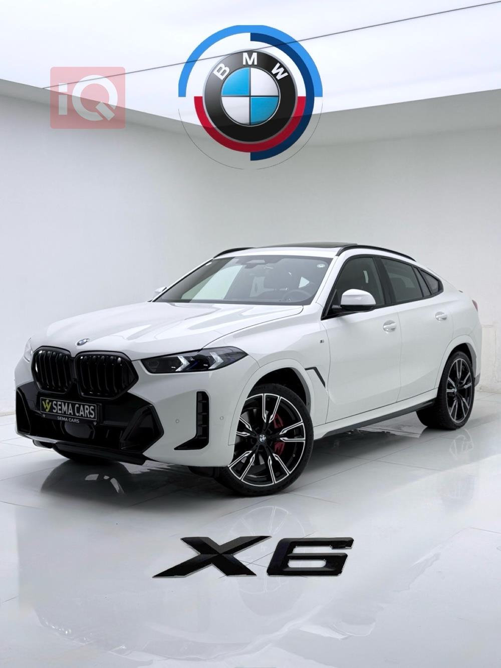 BMW X6